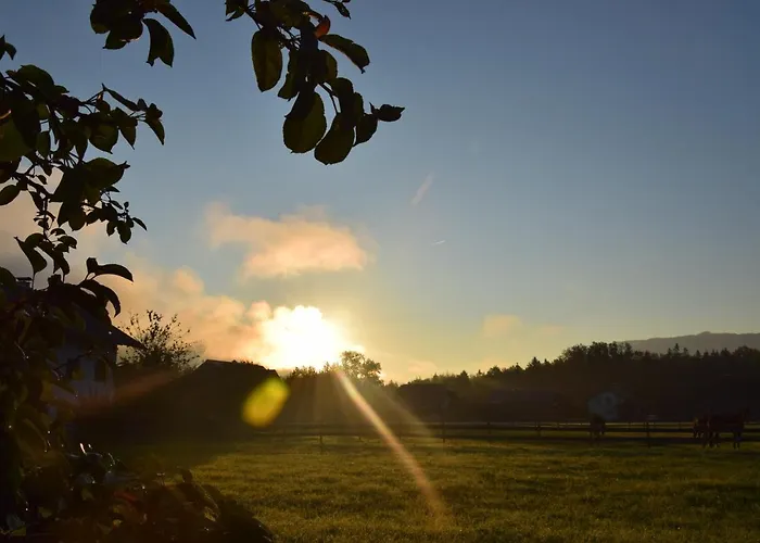 酒店 Seehotel Huber 4*